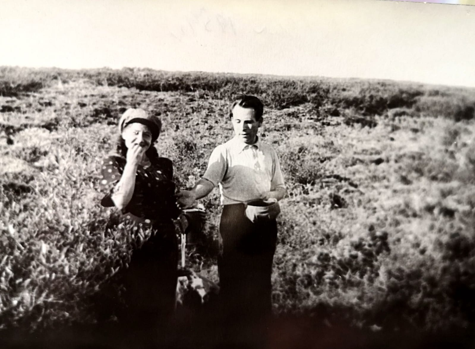 Михаил Багиров и Александра Спектор собирают морошку, Воркута